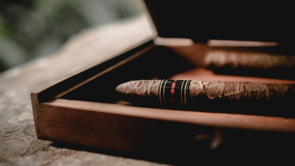An open wooden case resting on stone in soft daylight